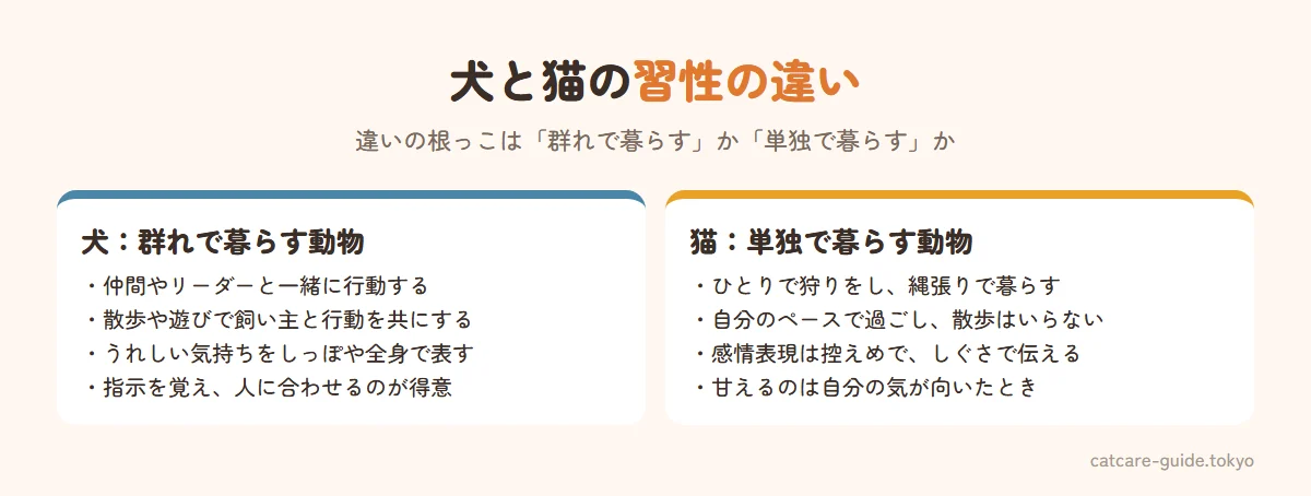 犬と猫の習性の違い。犬は群れで暮らしリーダーに従う、散歩や遊びで一緒に行動する、感情をわかりやすく表す、飼い主の指示を覚えるのが得意。猫は単独で狩りをする、自分のペースで過ごす、感情表現が控えめ、自分が気が向いたときに甘える