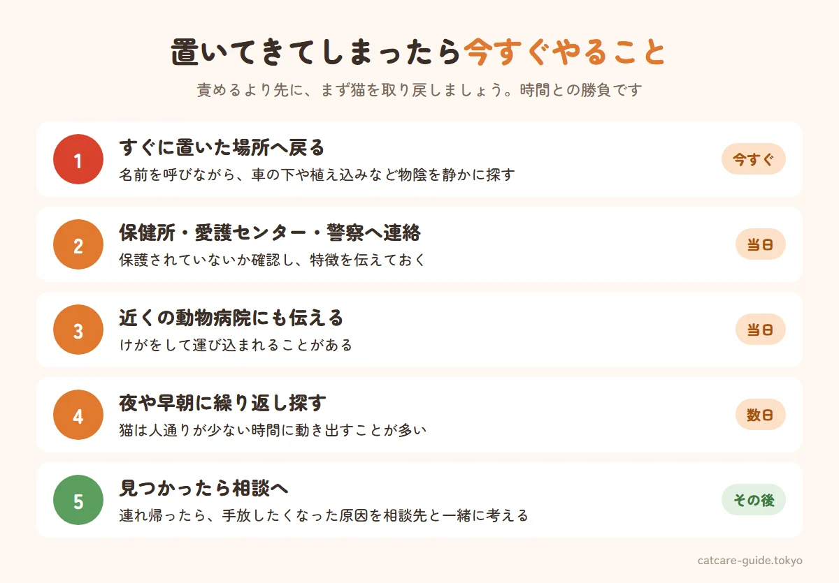 猫を外に置いてきてしまったときに今すぐやること。すぐに置いてきた場所へ戻り、名前を呼びながら物陰を探す。見つからなければ保健所・動物愛護センターと警察に連絡する。近くの動物病院にも伝え、チラシやSNSで目撃情報を集める。夜や早朝にも繰り返し探す。見つかったら家に連れて帰り、相談先に連絡する