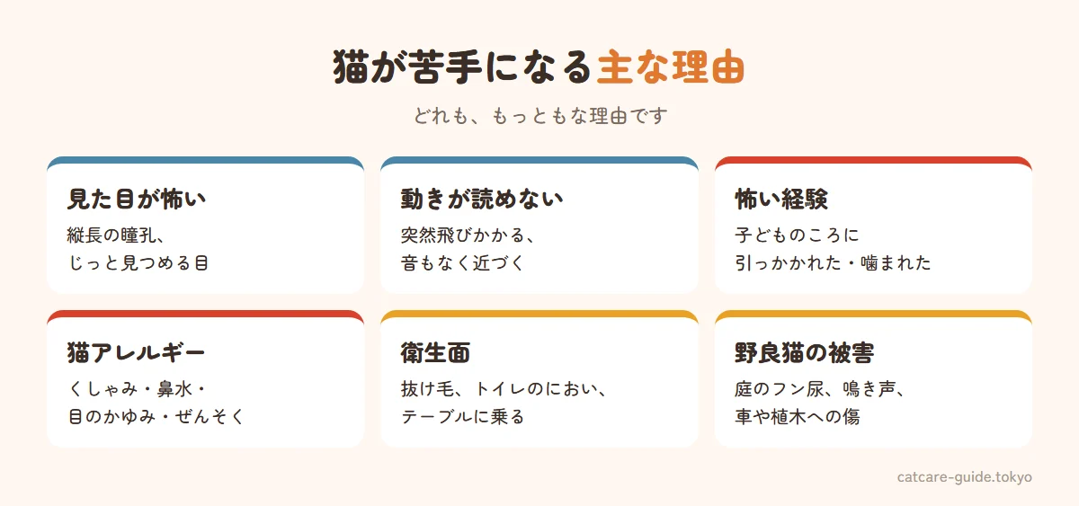 猫が嫌い・苦手になる主な理由。見た目が怖い（縦長の瞳孔、じっと見つめる目）、動きが予測できない（突然飛びかかる、音もなく近づく）、過去に引っかかれた・噛まれた経験、猫アレルギー、衛生面が気になる（毛、トイレのにおい、家具に乗る）、野良猫の被害（フン尿、鳴き声、車や庭への傷）